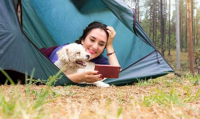 Les équipements indispensables pour camper avec votre animal de compagnie